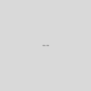 notebook-tosh_02