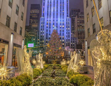 rock feller centre 1