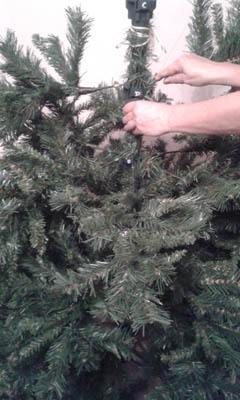 come-riporre-l'albero-di-natale-blog-miss-christmas-gatto (1)