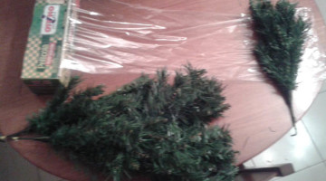 come-riporre-l’albero-di-natale-blog-miss-christmas-gatto (2)