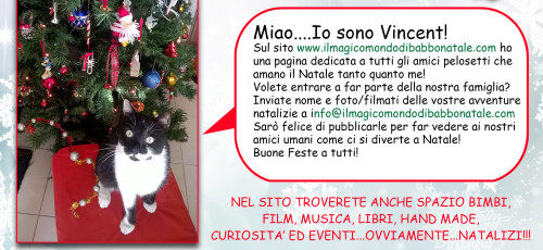 natale-dei-cuccioli-vincent-foto-a-tema-cani-gatti